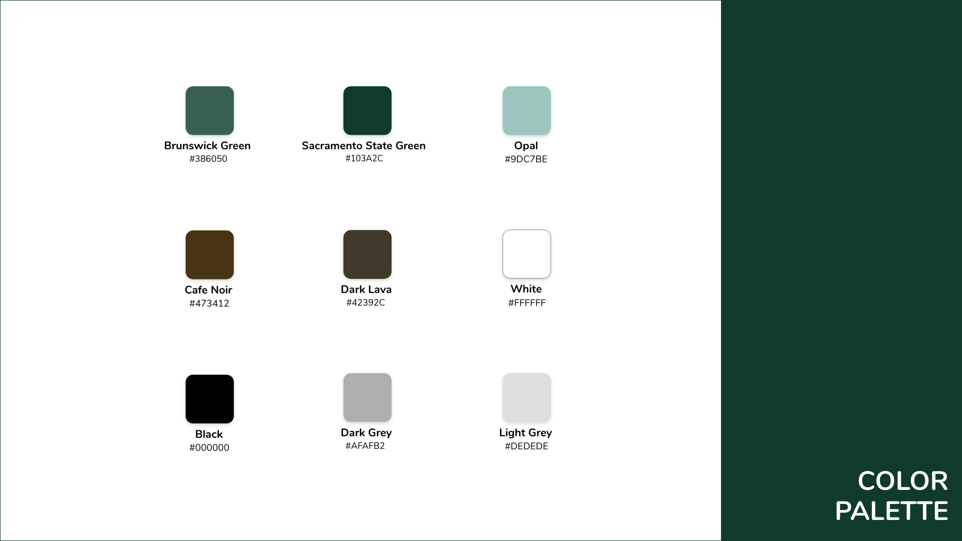 Style Guide Colors